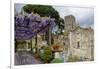 Pergola with Blooming Wisteria, Ravello, Italy-George Oze-Framed Photographic Print