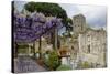 Pergola with Blooming Wisteria, Ravello, Italy-George Oze-Stretched Canvas