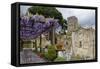 Pergola with Blooming Wisteria, Ravello, Italy-George Oze-Framed Stretched Canvas