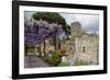 Pergola with Blooming Wisteria, Ravello, Italy-George Oze-Framed Photographic Print