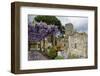 Pergola with Blooming Wisteria, Ravello, Italy-George Oze-Framed Photographic Print