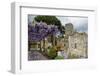 Pergola with Blooming Wisteria, Ravello, Italy-George Oze-Framed Photographic Print