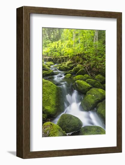 Perham Stream on Lone Mountain Near the Appalachian Trail in Mount Abram Township, Maine-Jerry and Marcy Monkman-Framed Photographic Print