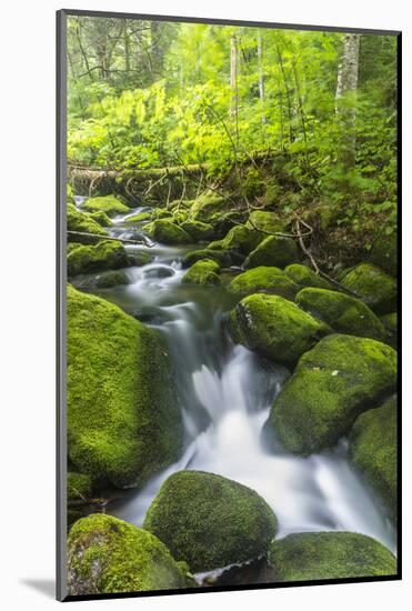 Perham Stream on Lone Mountain Near the Appalachian Trail in Mount Abram Township, Maine-Jerry and Marcy Monkman-Mounted Photographic Print