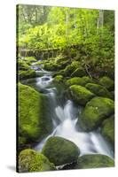Perham Stream on Lone Mountain Near the Appalachian Trail in Mount Abram Township, Maine-Jerry and Marcy Monkman-Stretched Canvas