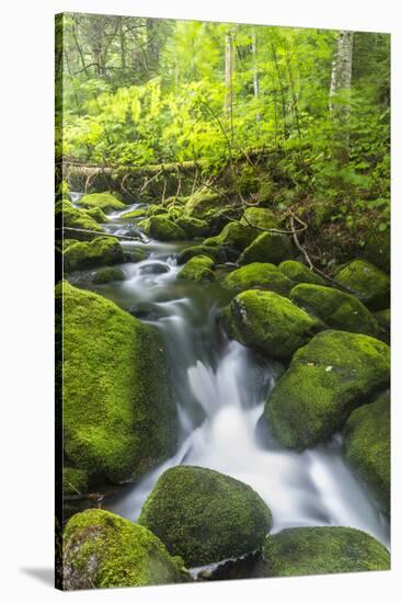 Perham Stream on Lone Mountain Near the Appalachian Trail in Mount Abram Township, Maine-Jerry and Marcy Monkman-Stretched Canvas