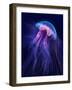 Peri Gelatinous II-Steve Hunziker-Framed Art Print