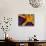 Periclemenes Soror Shrimp and Culcita Novaeguineae-Andrea Ferrari-Stretched Canvas displayed on a wall