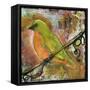 Peridot Bird-Blenda Tyvoll-Framed Stretched Canvas
