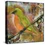 Peridot Bird-Blenda Tyvoll-Stretched Canvas