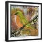 Peridot Bird-Blenda Tyvoll-Framed Giclee Print