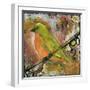 Peridot Bird-Blenda Tyvoll-Framed Giclee Print