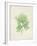 Peridot Seaweed III-Vision Studio-Framed Art Print