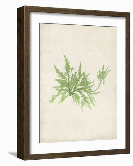 Peridot Seaweed V-Vision Studio-Framed Art Print