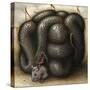 Perilous Abode-Jason Limon-Stretched Canvas