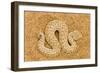 Peringuey's Adder Full Body Portrait of a Baby-null-Framed Photographic Print