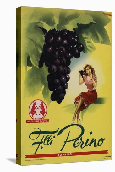 Perino - Grapes-null-Stretched Canvas