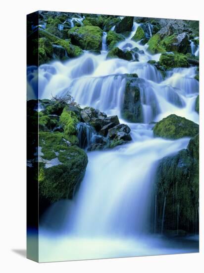 Periodic Spring During Period of High Flow, Salt River Range, Bridger-Teton National Forest, WY-Scott T. Smith-Stretched Canvas