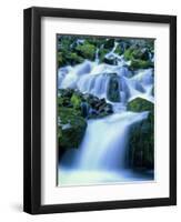 Periodic Spring During Period of High Flow, Salt River Range, Bridger-Teton National Forest, WY-Scott T. Smith-Framed Photographic Print