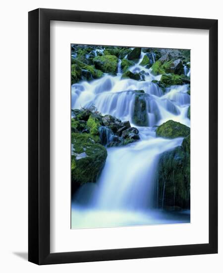 Periodic Spring During Period of High Flow, Salt River Range, Bridger-Teton National Forest, WY-Scott T. Smith-Framed Photographic Print