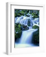 Periodic Spring During Period of High Flow, Salt River Range, Bridger-Teton National Forest, WY-Scott T. Smith-Framed Photographic Print