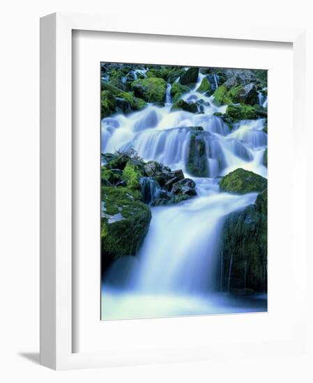 Periodic Spring During Period of High Flow, Salt River Range, Bridger-Teton National Forest, WY-Scott T. Smith-Framed Photographic Print