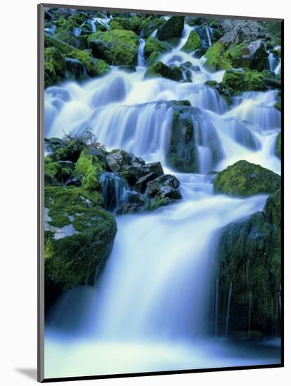Periodic Spring During Period of High Flow, Salt River Range, Bridger-Teton National Forest, WY-Scott T. Smith-Mounted Photographic Print