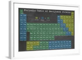 Periodic Table-Ali Potman-Framed Giclee Print