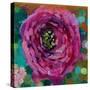 Peripheral Rose 1-Boho Hue Studio-Stretched Canvas