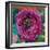 Peripheral Rose 1-Boho Hue Studio-Framed Art Print