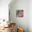 Peripheral Rose 3-Boho Hue Studio-Art Print displayed on a wall