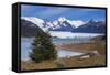 Perito Moreno Glaciar, Los Glaciares National Park, Near El Calafate, Patagonia, Argentina-Matthew Williams-Ellis-Framed Stretched Canvas