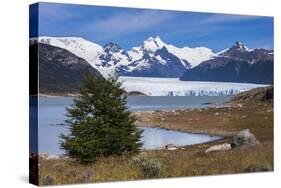 Perito Moreno Glaciar, Los Glaciares National Park, Near El Calafate, Patagonia, Argentina-Matthew Williams-Ellis-Stretched Canvas