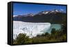 Perito Moreno Glaciar, Los Glaciares National Park, Near El Calafate, Patagonia, Argentina-Matthew Williams-Ellis-Framed Stretched Canvas