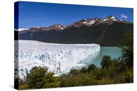 Perito Moreno Glaciar, Los Glaciares National Park, Near El Calafate, Patagonia, Argentina-Matthew Williams-Ellis-Stretched Canvas