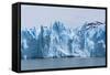 Perito Moreno Glacier-Michael Runkel-Framed Stretched Canvas