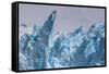 Perito Moreno Glacier-Michael Runkel-Framed Stretched Canvas