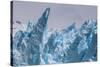 Perito Moreno Glacier-Michael Runkel-Stretched Canvas