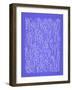 Periwinkle Jellyfish-Cat Coquillette-Framed Giclee Print