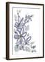 Periwinkle Patch I-June Vess-Framed Art Print