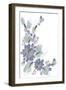 Periwinkle Patch III-June Vess-Framed Art Print