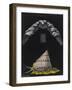 Periwinkle: Topshell-Philip Henry Gosse-Framed Giclee Print