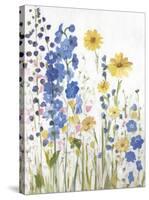 Periwinkle Wildflowers I-Sandra Iafrate-Stretched Canvas