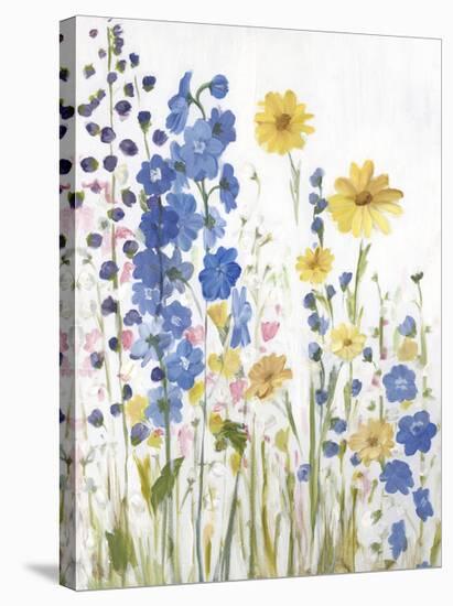 Periwinkle Wildflowers I-Sandra Iafrate-Stretched Canvas