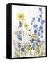 Periwinkle Wildflowers II-Sandra Iafrate-Framed Stretched Canvas