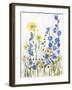 Periwinkle Wildflowers II-Sandra Iafrate-Framed Art Print