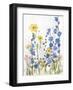 Periwinkle Wildflowers II-Sandra Iafrate-Framed Art Print