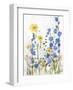 Periwinkle Wildflowers II-Sandra Iafrate-Framed Art Print