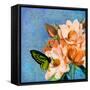Periwinkle-Tina Lavoie-Framed Stretched Canvas