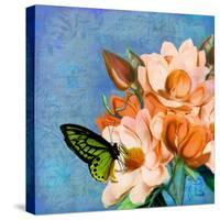 Periwinkle-Tina Lavoie-Stretched Canvas